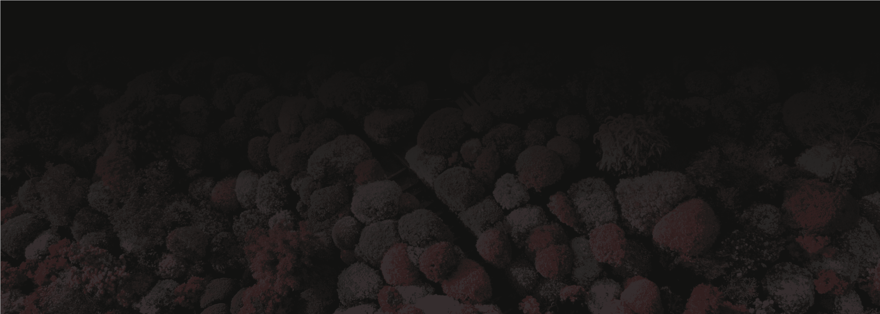 Service Background Bottom