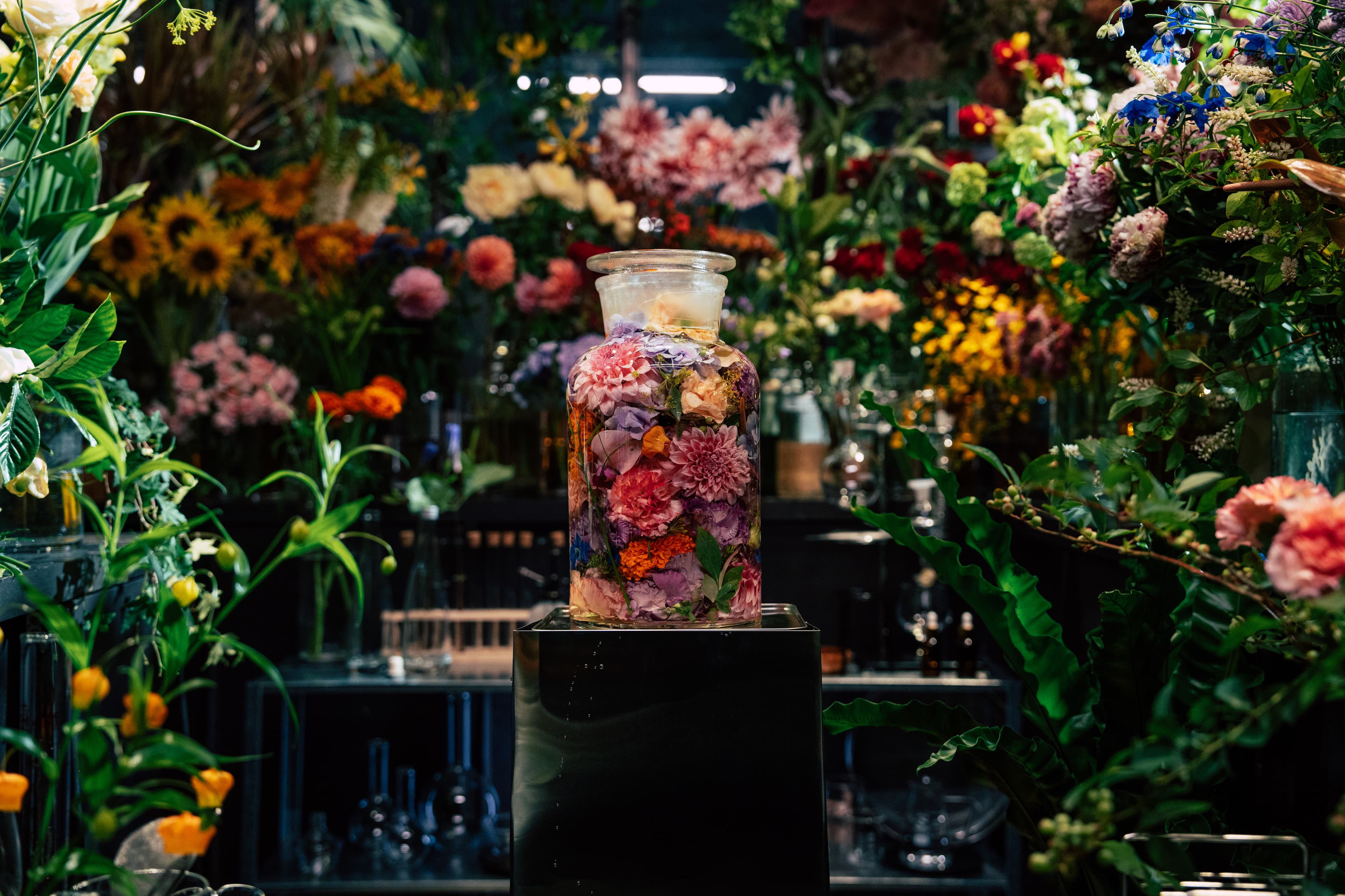 花酵母の技術 - 酒造りプロセス