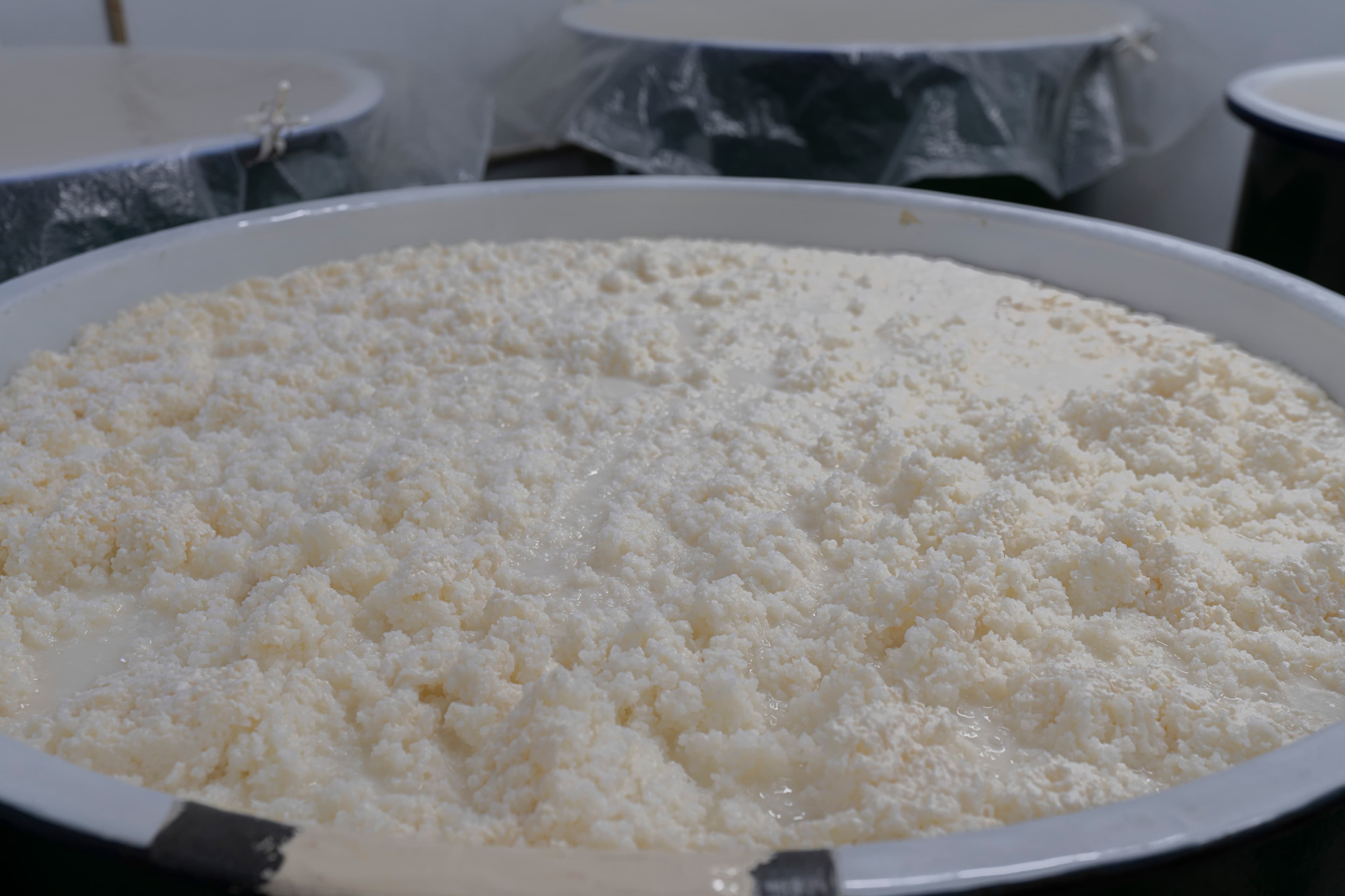 花に新しい命を吹き込む酒造り